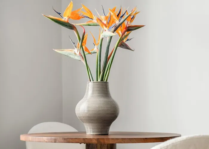 Sanders Solemare By The Sea - Close To Sunny And Appartement Aheloy